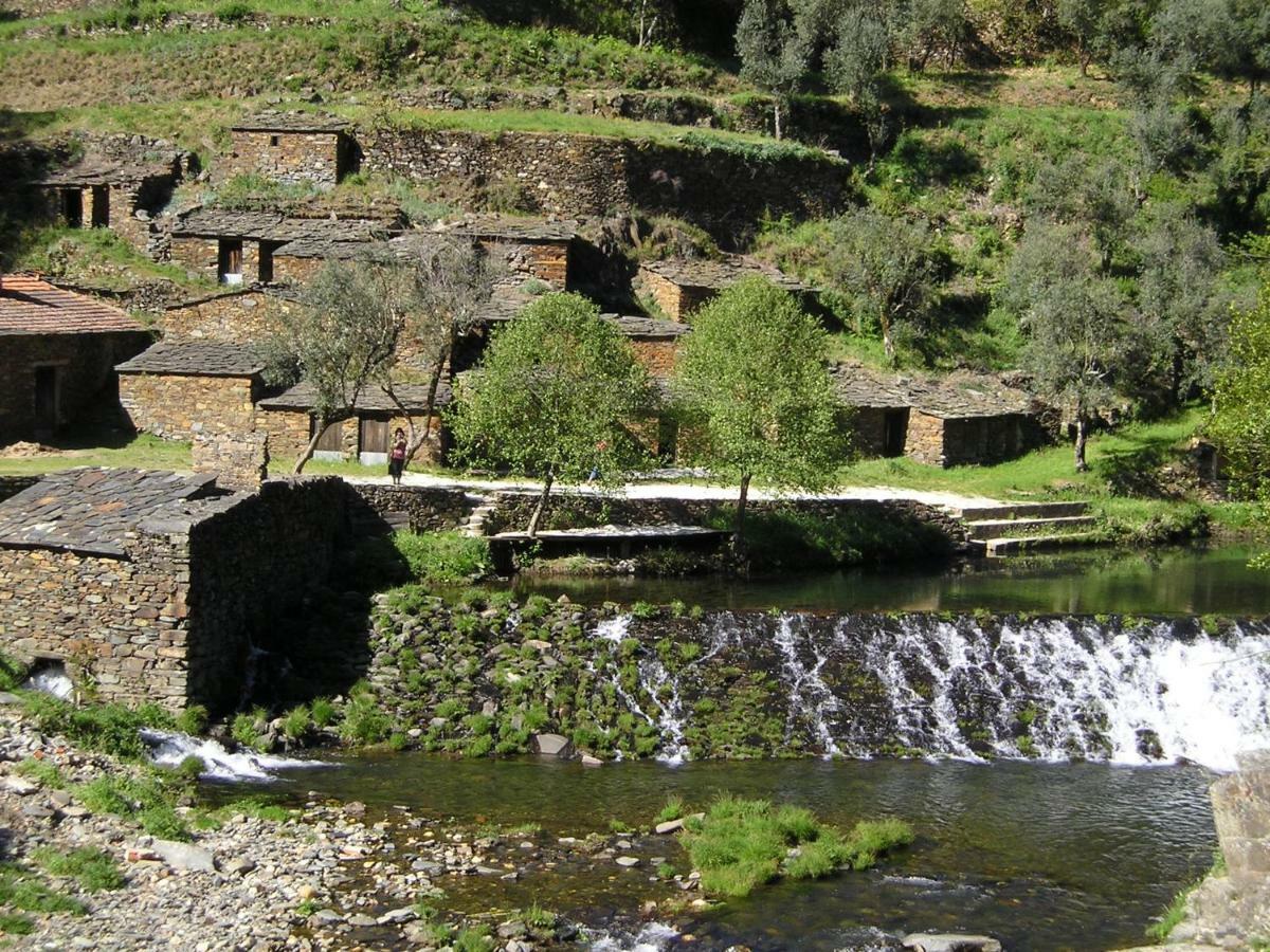 A Charming , Traditional Cottage At Quinta Da Ribeira Vila Nova de Poiares Eksteriør billede