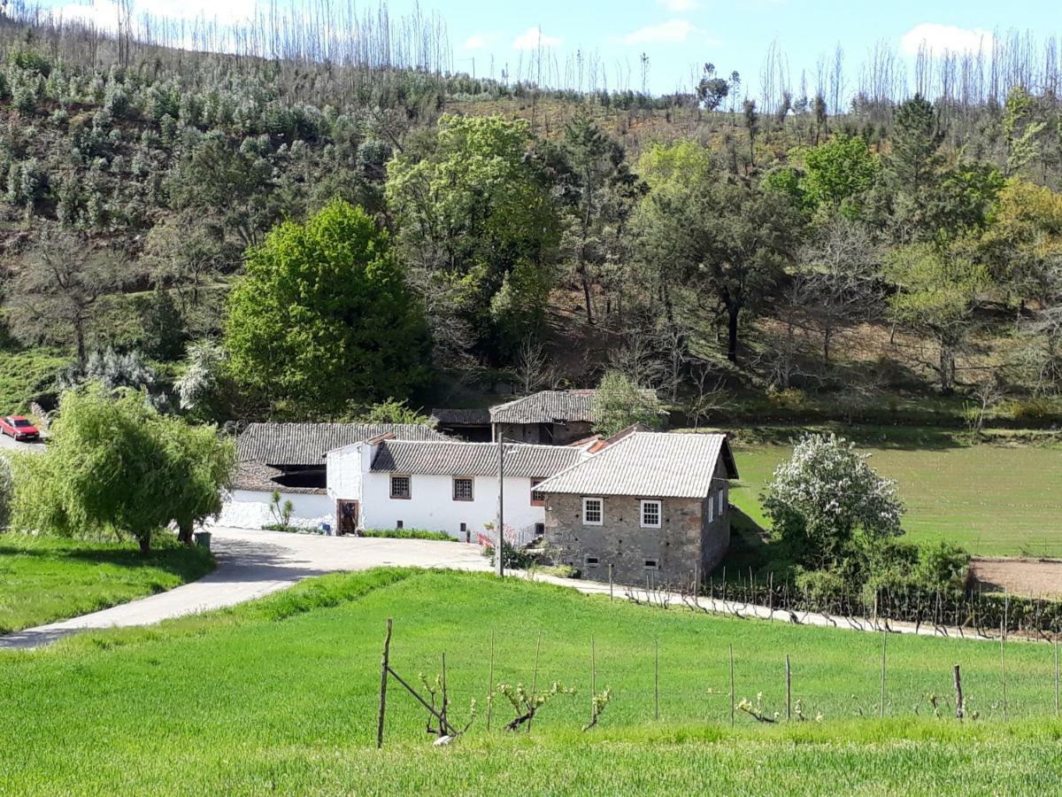 A Charming , Traditional Cottage At Quinta Da Ribeira Vila Nova de Poiares Eksteriør billede