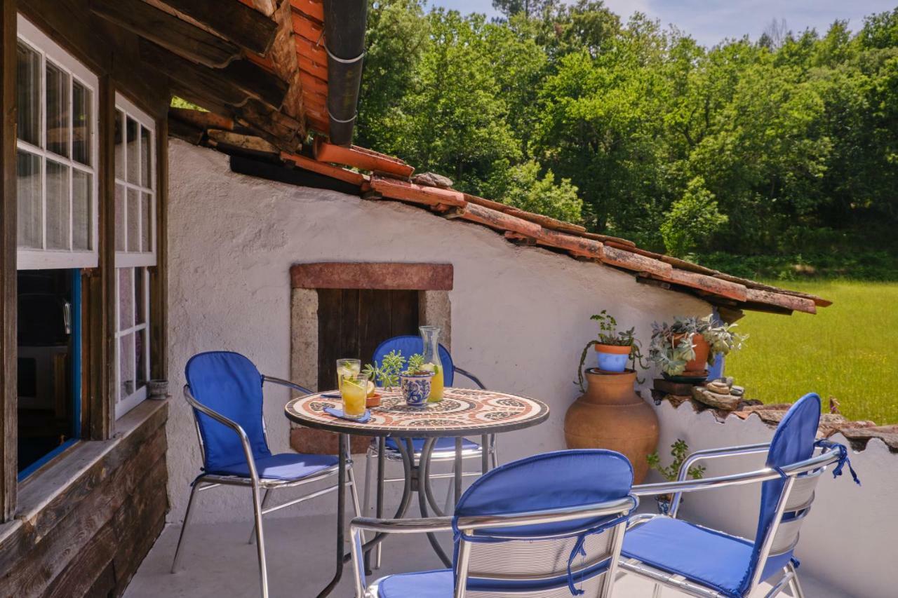 A Charming , Traditional Cottage At Quinta Da Ribeira Vila Nova de Poiares Eksteriør billede